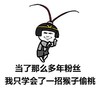 金管长 蘑菇头 紧箍咒 当了那么多年粉丝我只学会了一招猴子偷桃