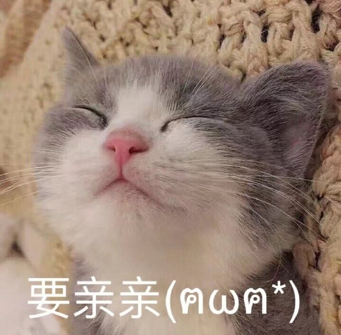 萌宠gif猫星人gif要亲亲gif可爱gif呆萌gif