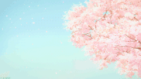 樱花 大树 落叶 动漫