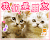 猫咪 好萌 文字 搞怪