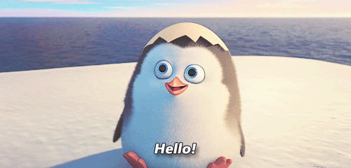 你好 调情 雪 冰 你好 冬天 动物 鸡蛋 可爱极了 南极洲 欢迎 企鹅 啊 马达加斯加 你好 动物宝宝 嘿嘿 马达加斯加的企鹅