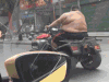 胖子 开车 马路 飙车