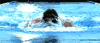 游泳 游泳池  swimming sports