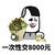 金馆长 傻笑 逗比 一次性交8000元