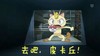 猫咪 愤怒 发狂 皮卡丘