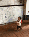 搞笑 滑稽 小狗狗 雷人