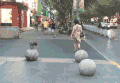 萌宠 厉害 玩耍 开心 狗