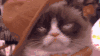 猫咪 戴帽子 可爱 眯眼