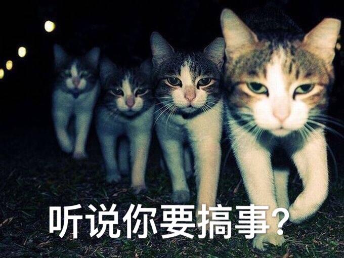 搞事gif金馆长gif熊猫人gif熊猫眼gif