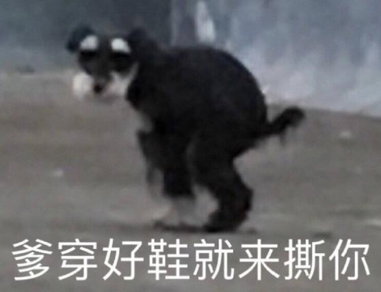 搞笑 沙雕 魔性 文字表情包 逗