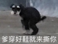 搞笑 沙雕 魔性 文字表情包 逗