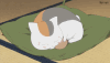 动漫 二次元 猫咪 搞笑