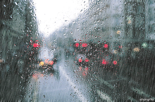 城市 重庆 也许 喜欢 雨天 旅行 怎么会 风景 gif