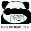 暴漫 熊猫头 你不曾发现 我笑中还有泪 搞怪 逗