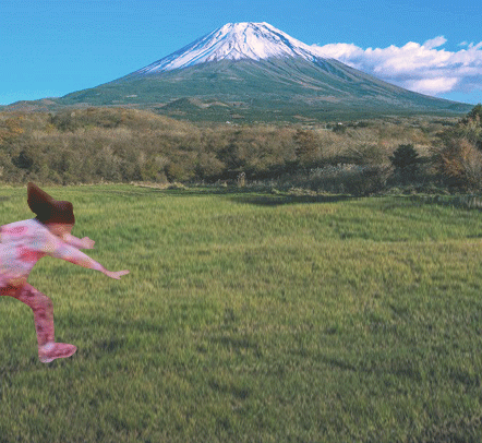 考拉 翻跟头 草地 富士山