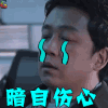 白夜追凶 推理电视剧 关宏峰 关宏宇 潘粤明 暗自伤心 soogif soogif出品