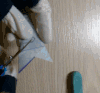 民俗艺术 春节 剪纸 剪雪花