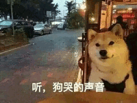 情人节