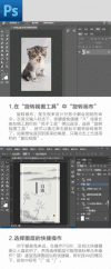 文字 颜色 图片 转动
