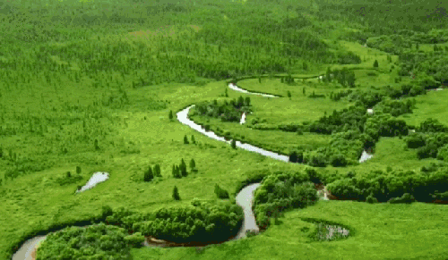 九曲河 南温河 湿地保护区 纪录片 黑龙江