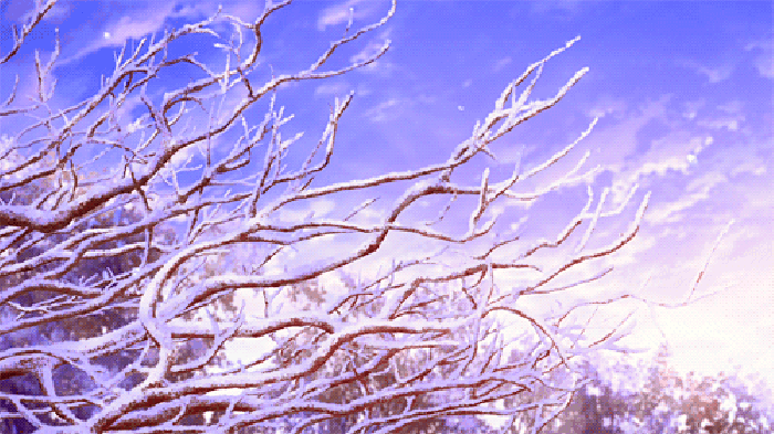 树枝 风景 冬天 寒冷
