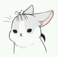 小兔子 可爱 萌萌哒 欢乐
