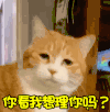萌宠 喵星人 你看我想理你吗 无奈 呆萌 可爱