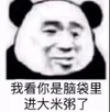 暴漫 熊猫头 我看你是脑袋里进大米粥了 生气 搞怪 逗