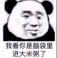 暴漫 熊猫头 我看你是脑袋里进大米粥了 生气 搞怪 逗