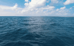 多米尼加共和国 洋面 海洋 纪录片 蓬塔卡纳 蔚蓝 风景