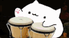 手鼓猫 BongoCat 可爱 猫 恶搞