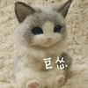 猫咪 可爱 呆萌 斗图 巨怂