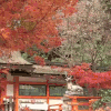 京都大学 soogif soogif出品