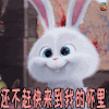 爱宠大机密 撩 还不赶快来到我的怀里 soogif soogif出品