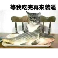 盘子 猫咪 金馆长 鱼 等我吃完再来装逼