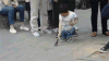 生活方式 猴子 退休 公园 长凳