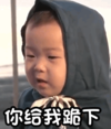 宋民国 萌娃 你给我跪下 可爱 搞笑 逗