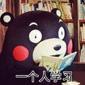一个人学习 熊本熊 读书 认真