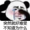 暴漫 熊猫头 突然就好难受 不知道为什么 搞怪 逗