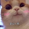 萌宠 喵星人 会心一笑 开心 呆萌 可爱