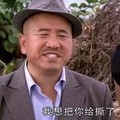 乡村爱情 刘能 王小利 我想把你给撕了