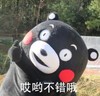 熊本熊 不错哦 搞笑 可爱