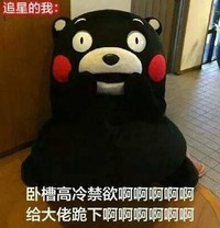 搞笑 熊本熊 反差萌 追星女孩 文字表情包