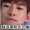 电视剧 明星 张翰 我该拿你怎么办