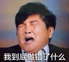 孙楠 歌手 表情包 我到底做错了什么