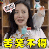 青春旅社 李小璐 苦笑不得 妈呀 soogif soogif出品