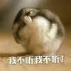 我不听我不听！   老鼠    抓狂
不要   拒绝