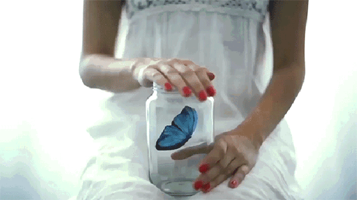 瓶子 蝴蝶 关闭 孤独