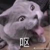 沙雕 杀掉表情包 沙雕系列