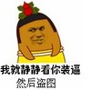 装逼 骚气 恶搞  贱 我就静静看你装逼 然后盗图